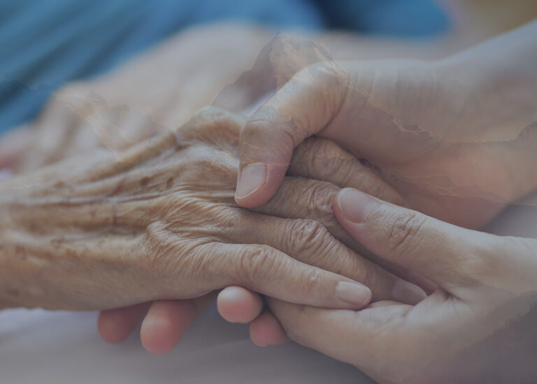 Home Care Services Toronto Home Care Services Mississauga Everest